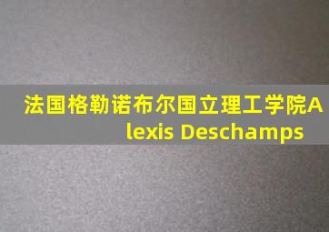 法国格勒诺布尔国立理工学院Alexis Deschamps